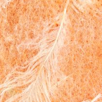 Produkt Wstążka filcowa wełniana wstążka tkanina dekoracyjna pomarańczowe piórka filc wełniany 15cm 5m