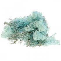 Mech dekoracyjny jasnoniebieski akwamaryn mech renifer rękodzieło mech 400g