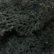 Naturalny mech czarny zakonserwowany mech islandzki do rękodzieła 400g