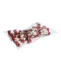 Produkt Muchomor na drucie 12 tomów.