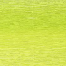 Produkt Bibuła Kwiaciarnia Maj zielona 50x250cm