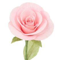 Produkt Papier florystyczny krepowy trawiasty zielony 50x250cm
