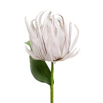 Kwiatek piankowy biały, fioletowy 12cm L30cm 1szt.