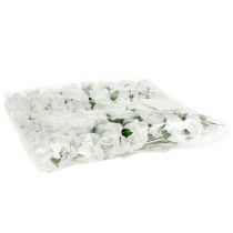 Produkt Róża piankowa Ø 3,5cm biała 48 szt
