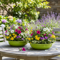 Produkt Taca do sadzenia roślin do atrakcyjnej dekoracji roślinnej w salonie, 29 cm, 2 sztuki