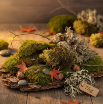 Produkt Mech dekoracyjny do prac rękodzielniczych, mieszanka zielonego i jasnozielonego naturalnego mchu, 75 g