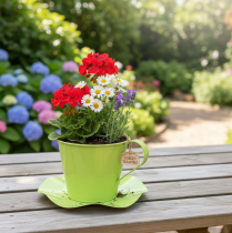 Produkt Filiżanka do herbaty metalowa dekoracyjna z talerzykiem jasnozielona Ø12 H10cm 8 szt.