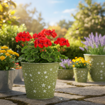 Produkt Doniczka metalowa w kolorze srebrno-zielonym z gwiazdkami, Ø14cm