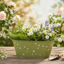 Produkt Miska metalowa owalna z gwiazdkami i uchwytami, zielona, 31×16 cm, wys. 12,5 cm
