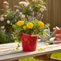 Produkt Dekoracyjne metalowe wiadro/doniczka, czerwone, Ø22 cm, wys. 21,5 cm, 6 l