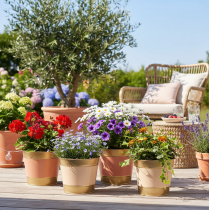 Produkt Doniczka metalowa, Ø17cm, wys.14,5cm, 4 sztuki