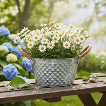 Produkt Okrągła miska cynkowa z uchwytami linowymi Ø25cm H14cm