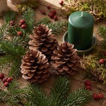 Produkt Szyszki sosnowe (Pinus maritima), szyszki nadmorskie, ozdobne, 12-13 cm, 3 sztuki