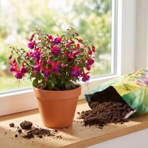 Produkt Ziemia doniczkowa FlorBest Gardener's z naturalną gliną i nawozem o powolnym uwalnianiu 5l