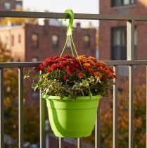 Produkt Kosz wiszący 25cm zielony