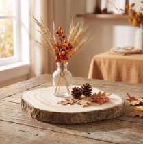 Produkt Plaster drzewa Paulownia Ø20-25cm naturalny dekoracyjny plaster drewniany