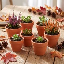 Produkt Doniczka gliniana, Ø5cm, wys. 4cm, 10 szt.