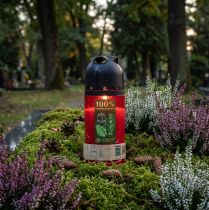Produkt Świeca nagrobna czerwona ICP Kompostowalna świeca pamiątkowa wys. 20 cm