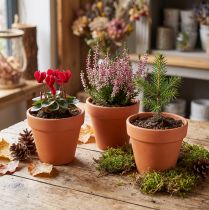 Produkt Doniczka gliniana Ø9cm wys. 8cm 10szt