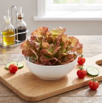 Produkt Sztuczna sałata Lollo Rosso Ozdobna główka sałaty Ø20cm