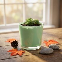 Produkt Doniczka szklana Ø10cm W8,5cm miętowa zieleń