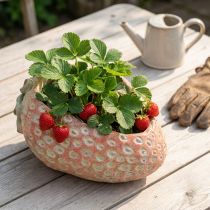 Produkt Dekoracyjna truskawka, doniczka, betonowa dekoracja do sadzenia L17cm