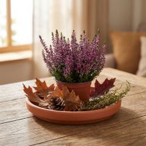 Produkt Podstawka z terakoty, naczynie ceramiczne Ø17,5cm