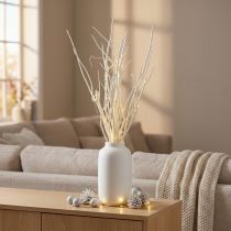 Produkt Gałązki Mitsumata białe 34-60cm 12 szt