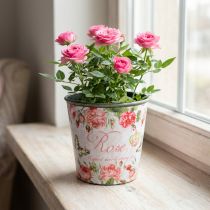 Produkt Sadzarka, wiadro do sadzenia, doniczka z różą wys. 13 cm Ø13,5 cm