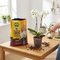 Produkt Ziemia do storczyków FRUX Soil (5 l)