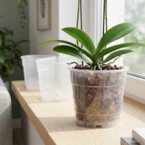 Produkt Doniczka do storczyków Ø12cm przezroczysta 10szt