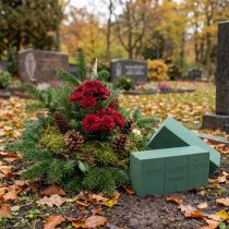 Produkt OASIS® plug moss maxlife standard 20 kostek