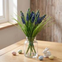 Produkt Hiacynty winogronowe 28cm - 30cm Niebieskie 15 szt
