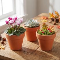Produkt Doniczki gliniane Ø6cm wys. 5cm 10szt
