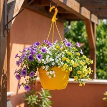 Produkt Kosz wiszący 25cm żółty