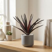 Produkt Aloe Vera sztuczny fioletowy 26cm