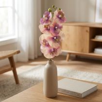 Produkt Storczyk Phalaenopsis sztuczny 7 kwiatów fioletowy kremowy 73cm