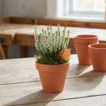 Produkt Doniczki gliniane Ø8cm wys.7cm 10szt