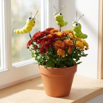 Produkt Gąsienica drewniana na patyczku zielona, żółta 8cm 24 szt