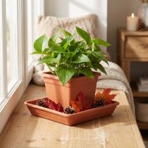 Produkt Podkładka Lara kwadratowa 29cm x 29cm terakota 1 szt