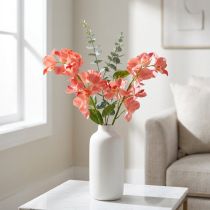 Produkt Orchidea Mokara Łosoś 50cm 6 szt