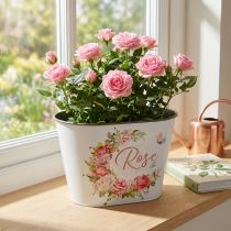 Produkt Sadzarka, ozdobne róże doniczkowe, miska na kwiaty dł. 19 cm wys. 12,5 cm