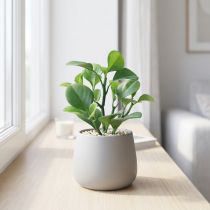 Produkt Sztuczna roślina zielona soczysta sztuczna zieleń W14cm
