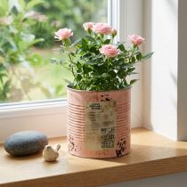 Produkt Doniczka ozdobna łosoś metalowa Ø15,5cm wys.15cm