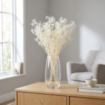 Produkt Gypsophila Biała Suszona Trawa Dekoracyjna Kremowa 65-70cm 100g