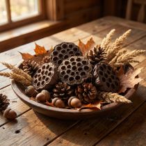 Produkt Cebula lotosu duża 100 szt. naturalna