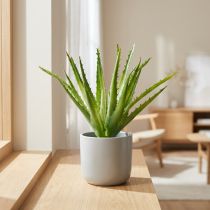 Produkt Aloe Vera sztuczny zielony 26cm