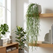Produkt Ozdobne wici, koralowy kaktus, sztuczny wieszak Rhipsalis zielony dł.120cm