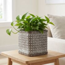 Produkt Sadzarka Doniczka ceramiczna 12×12×12cm