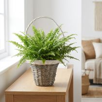 Produkt Koszyk wiklinowy z rączką, szaro-biały, Ø25 cm, wys.45 cm, ozdobny kosz na rośliny